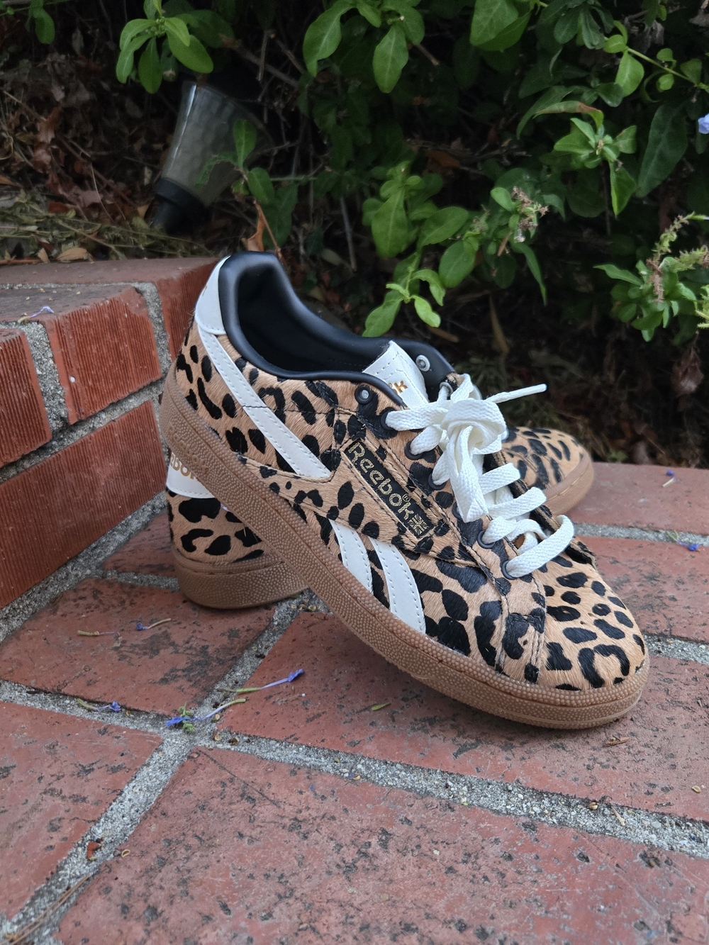 Reebook Women's Club C Leopard Print Sneakers - size 7.5
